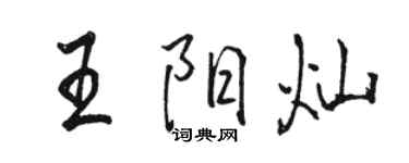 骆恒光王阳灿行书个性签名怎么写