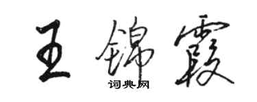 骆恒光王锦霞行书个性签名怎么写