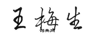 骆恒光王梅生行书个性签名怎么写