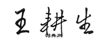 骆恒光王耕生行书个性签名怎么写