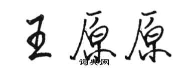 骆恒光王原原行书个性签名怎么写