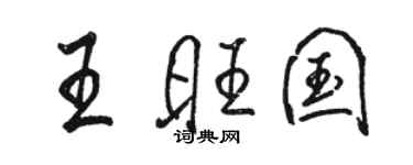 骆恒光王旺国行书个性签名怎么写