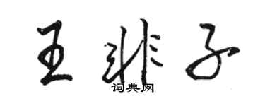 骆恒光王非子行书个性签名怎么写