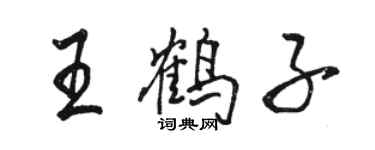 骆恒光王鹤子行书个性签名怎么写