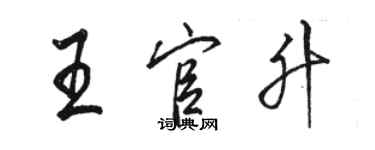 骆恒光王官升行书个性签名怎么写