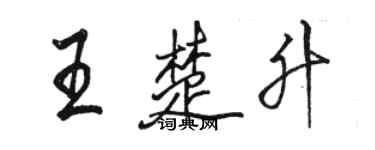 骆恒光王楚升行书个性签名怎么写
