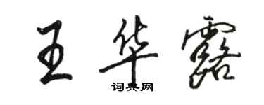 骆恒光王华露行书个性签名怎么写
