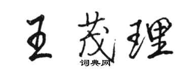 骆恒光王茂理行书个性签名怎么写
