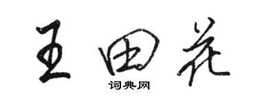 骆恒光王田花行书个性签名怎么写
