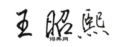 骆恒光王昭熙行书个性签名怎么写