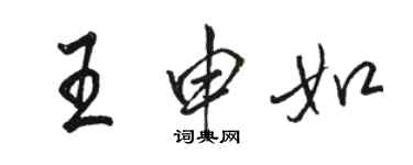 骆恒光王申如行书个性签名怎么写