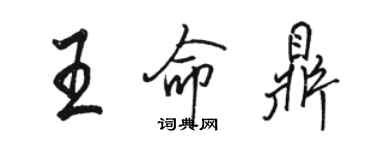 骆恒光王命鼎行书个性签名怎么写