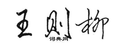 骆恒光王则柳行书个性签名怎么写