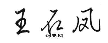骆恒光王石凤行书个性签名怎么写