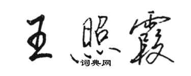 骆恒光王照霞行书个性签名怎么写
