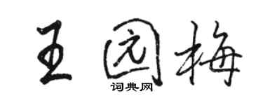 骆恒光王园梅行书个性签名怎么写