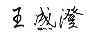 骆恒光王成澄行书个性签名怎么写