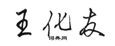 骆恒光王化友行书个性签名怎么写