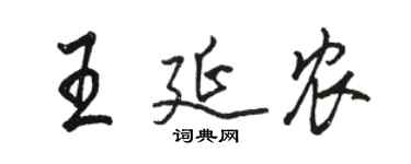 骆恒光王延农行书个性签名怎么写