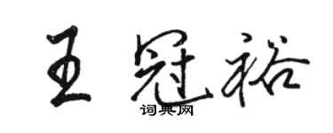 骆恒光王冠裕行书个性签名怎么写