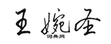 骆恒光王婉圣行书个性签名怎么写