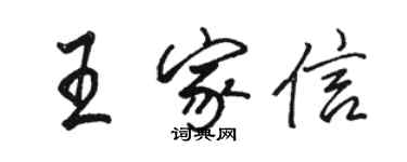 骆恒光王家信行书个性签名怎么写