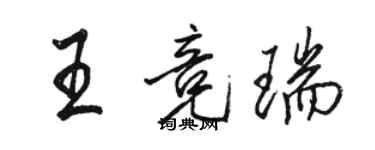 骆恒光王竞瑞行书个性签名怎么写