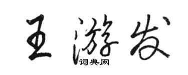 骆恒光王游发行书个性签名怎么写