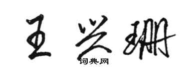 骆恒光王兴珊行书个性签名怎么写