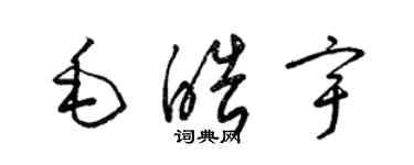 梁锦英毛皓宇草书个性签名怎么写