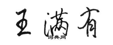 骆恒光王满有行书个性签名怎么写