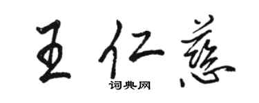 骆恒光王仁慈行书个性签名怎么写