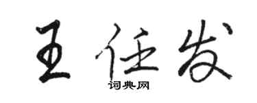 骆恒光王任发行书个性签名怎么写
