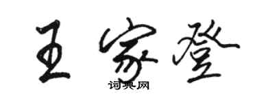 骆恒光王家登行书个性签名怎么写