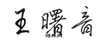 骆恒光王曙音行书个性签名怎么写