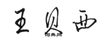 骆恒光王贝西行书个性签名怎么写
