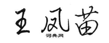 骆恒光王凤苗行书个性签名怎么写