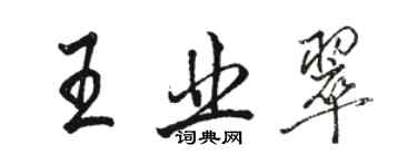 骆恒光王业翠行书个性签名怎么写