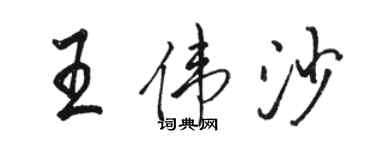 骆恒光王伟沙行书个性签名怎么写