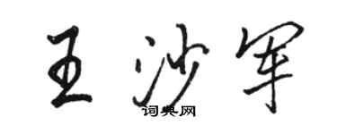 骆恒光王沙军行书个性签名怎么写