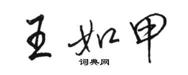 骆恒光王如甲行书个性签名怎么写