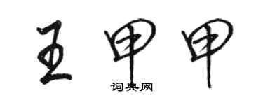 骆恒光王甲甲行书个性签名怎么写