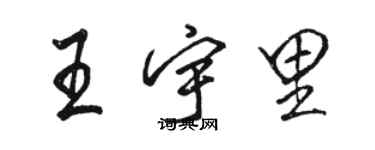 骆恒光王宇里行书个性签名怎么写