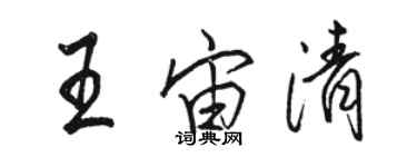 骆恒光王宙清行书个性签名怎么写