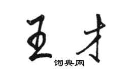 骆恒光王才行书个性签名怎么写