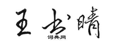 骆恒光王书晴行书个性签名怎么写