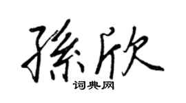 王正良孙欣行书个性签名怎么写