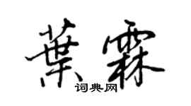 王正良叶霖行书个性签名怎么写