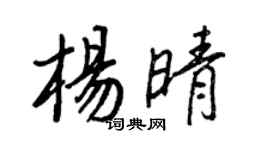 王正良杨晴行书个性签名怎么写