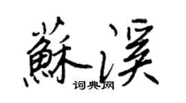 王正良苏溪行书个性签名怎么写